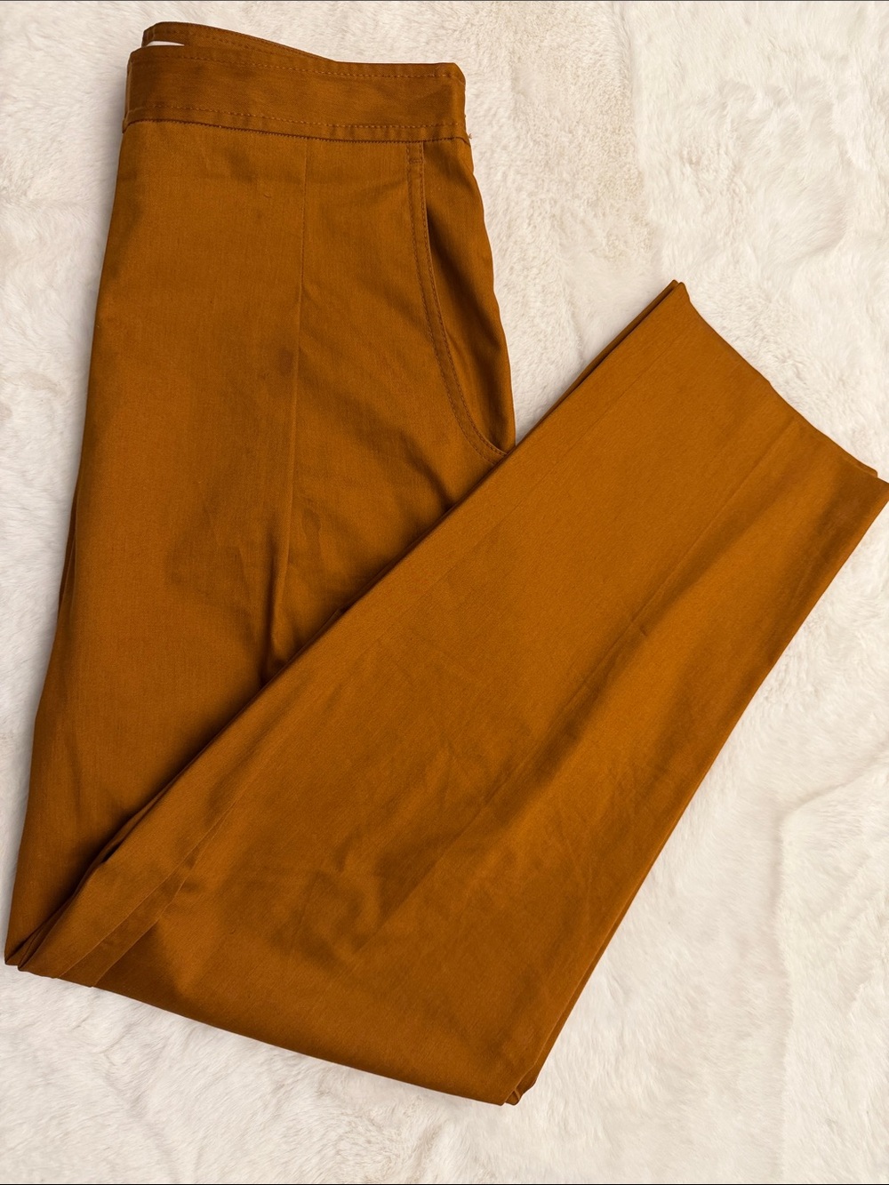 Rebecca Taylor High-Waist Pleated Trousers in Rust Orange